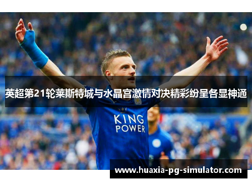 英超第21轮莱斯特城与水晶宫激情对决精彩纷呈各显神通